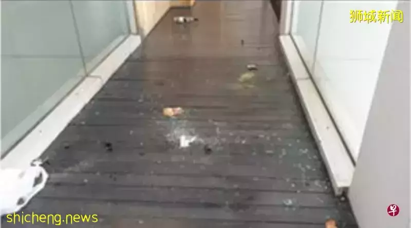 一年半4次高楼抛物 男子被控