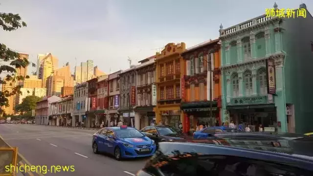 发达的新加坡，竟然随处可见小动物！新加坡冷知识（精选集）