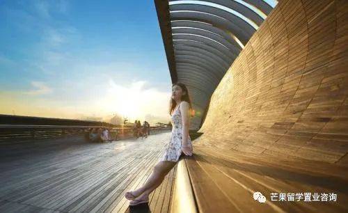 中國駕照如何轉換新加坡駕照？怎樣選擇合約機最省錢