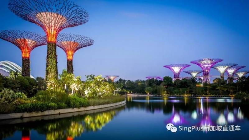 夜幕下的新加坡,有多美