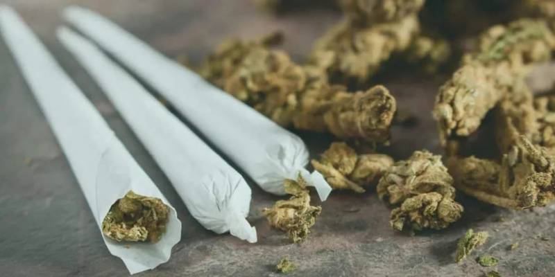 新加坡部长怒怼联合国:“你们都是为了钱!”