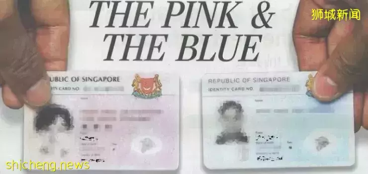 PR通過人數創新高!EP和SP人士這樣申請更容易獲批