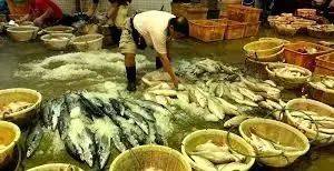 新加坡最有特色的巴刹市場有哪些？一起來看看吧