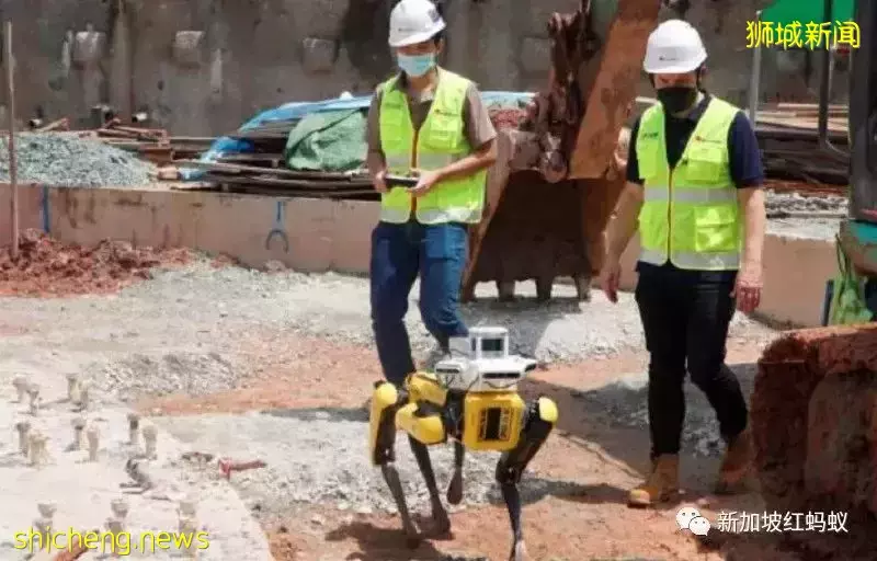 新加坡制造业机器人密度全球第二 疫情期间补上外籍员工的短缺