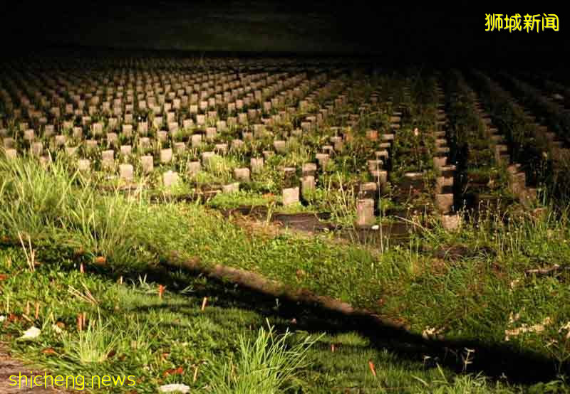 擄到墳場圖燒妻 大馬妒夫 判監2年