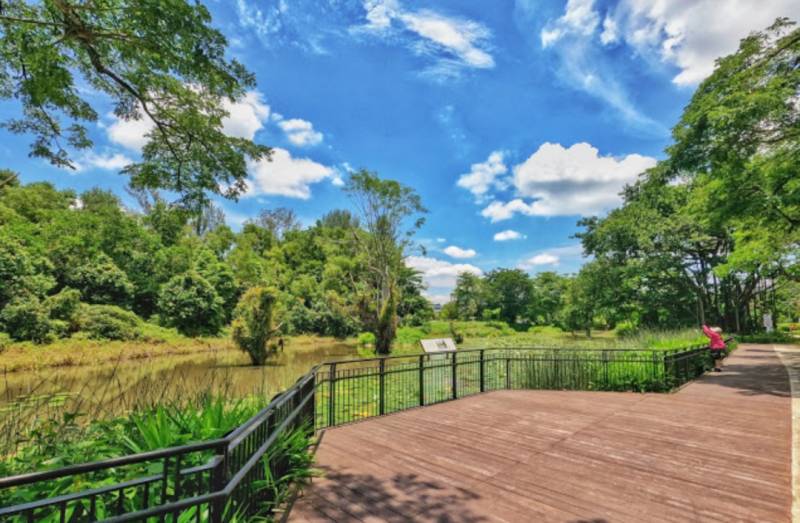 2020新加坡15大室内外热门景点!几乎零花费就能玩到嗨