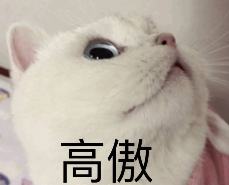 聽說很多人去了樟宜機場免稅區逛街？我們翹班去體驗了一把