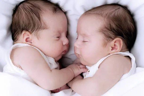 双胞胎宝宝13个月大就开始找家教!新加坡虎妈太拼了