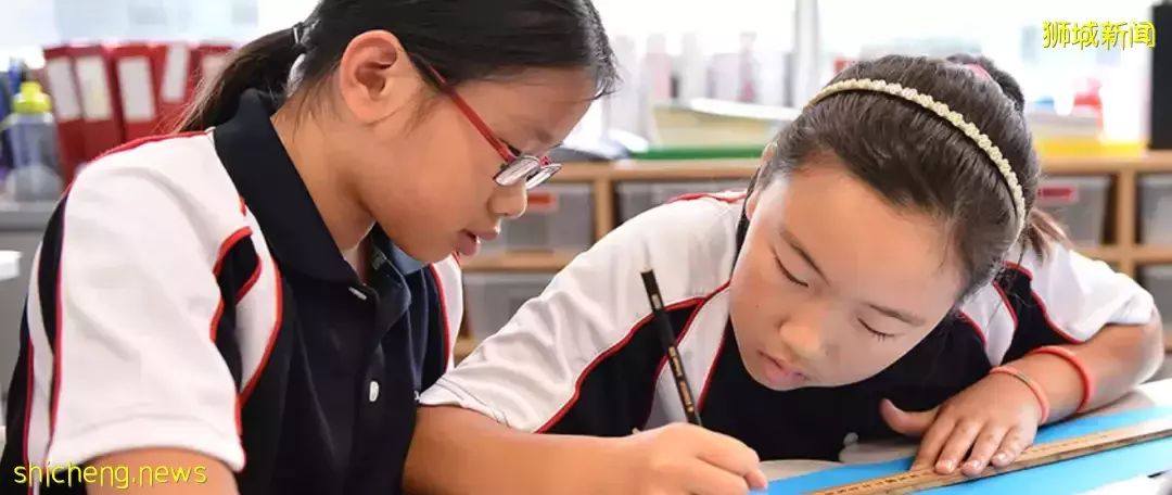 这篇文章，让小学阶段留学新加坡的学生，再也不用为择校而烦恼