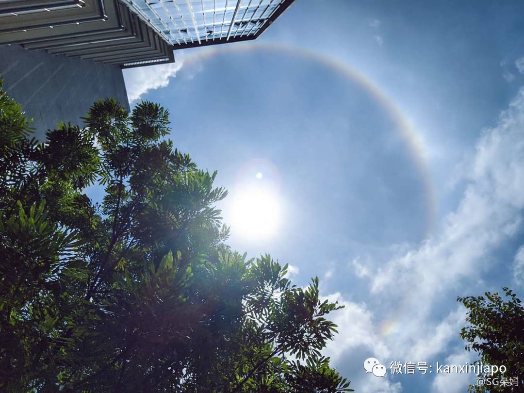 朋友圈刷屏!日晕奇景你们拍到了吗?