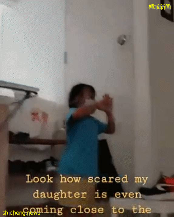 新加坡护士被邻居喷消毒液、骂脏话!加急保护令帮全家解脱