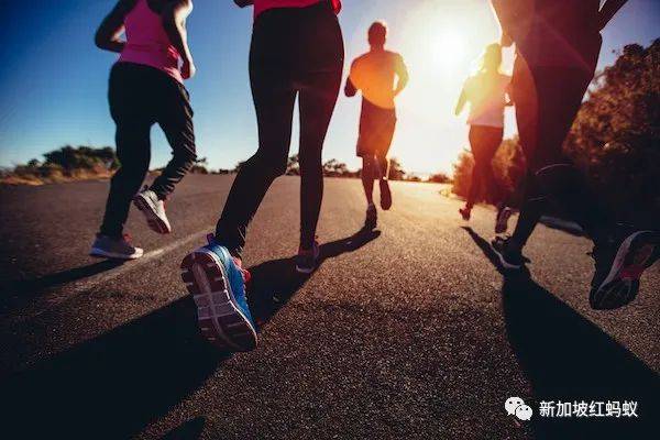 中国有68岁“撸铁奶奶” 新加坡也有一群七旬“撸铁爷爷”