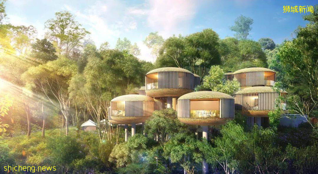 新加坡野生动物保育集团改名为“万态保育集团”,河川生态园和飞禽公园也有了新名字