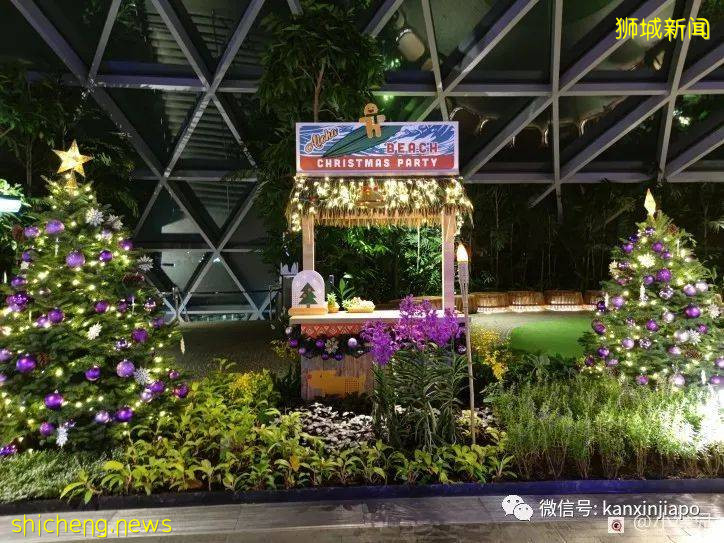 趣探樟宜奇妙之旅,吃喝玩乐一整天