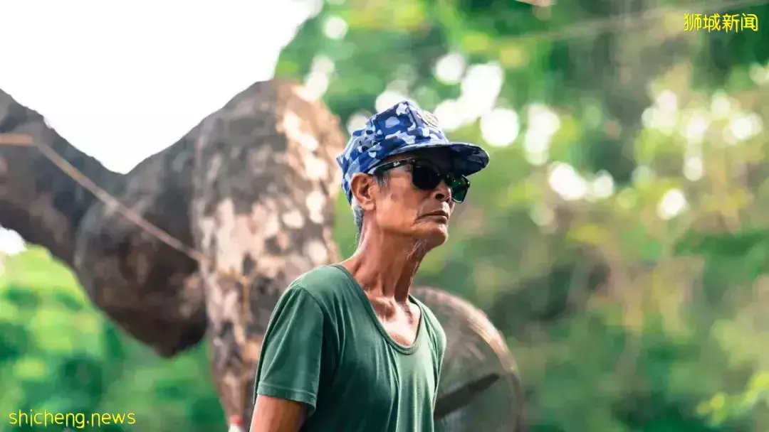 “社會進步指數”排名全球前30 !新加坡社會環境和諧穩定,穩居亞洲前列