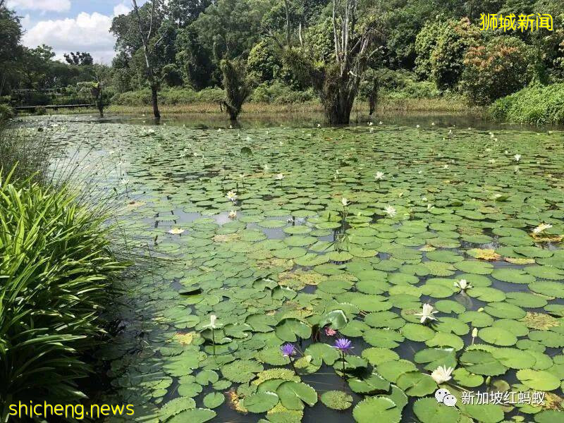 新加坡这些别有洞天的小众景点 稍不留神就会错过