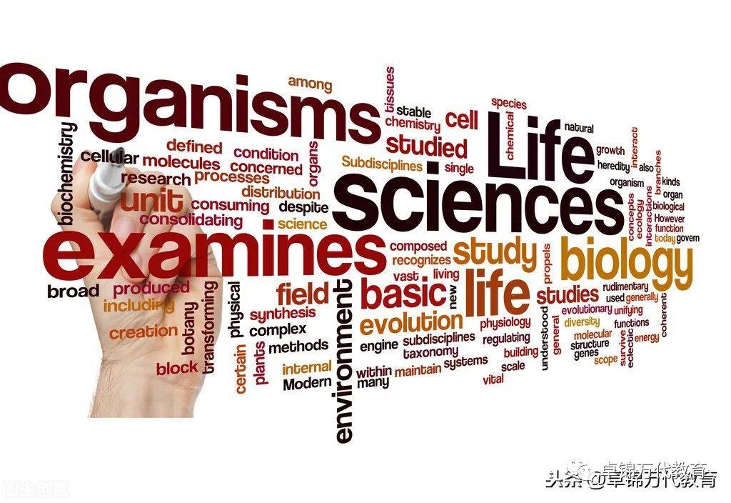 新加坡公立大學及理工學院就業調查