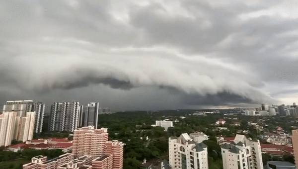 猶如世界末日!實拍新加坡被海嘯雲“吞沒”!暴雨、發大水、樹倒