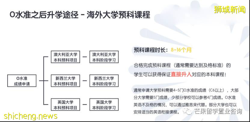 新加坡 “O” 水准！最全課程彙總