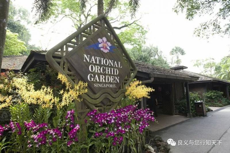 新加坡恢複中國公民短期旅遊簽證，八大必去景點等你打卡