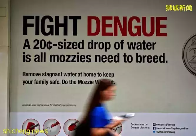 新加坡女部长在欧洲确诊!本地骨痛热病例大增,患者:睡醒满嘴是血