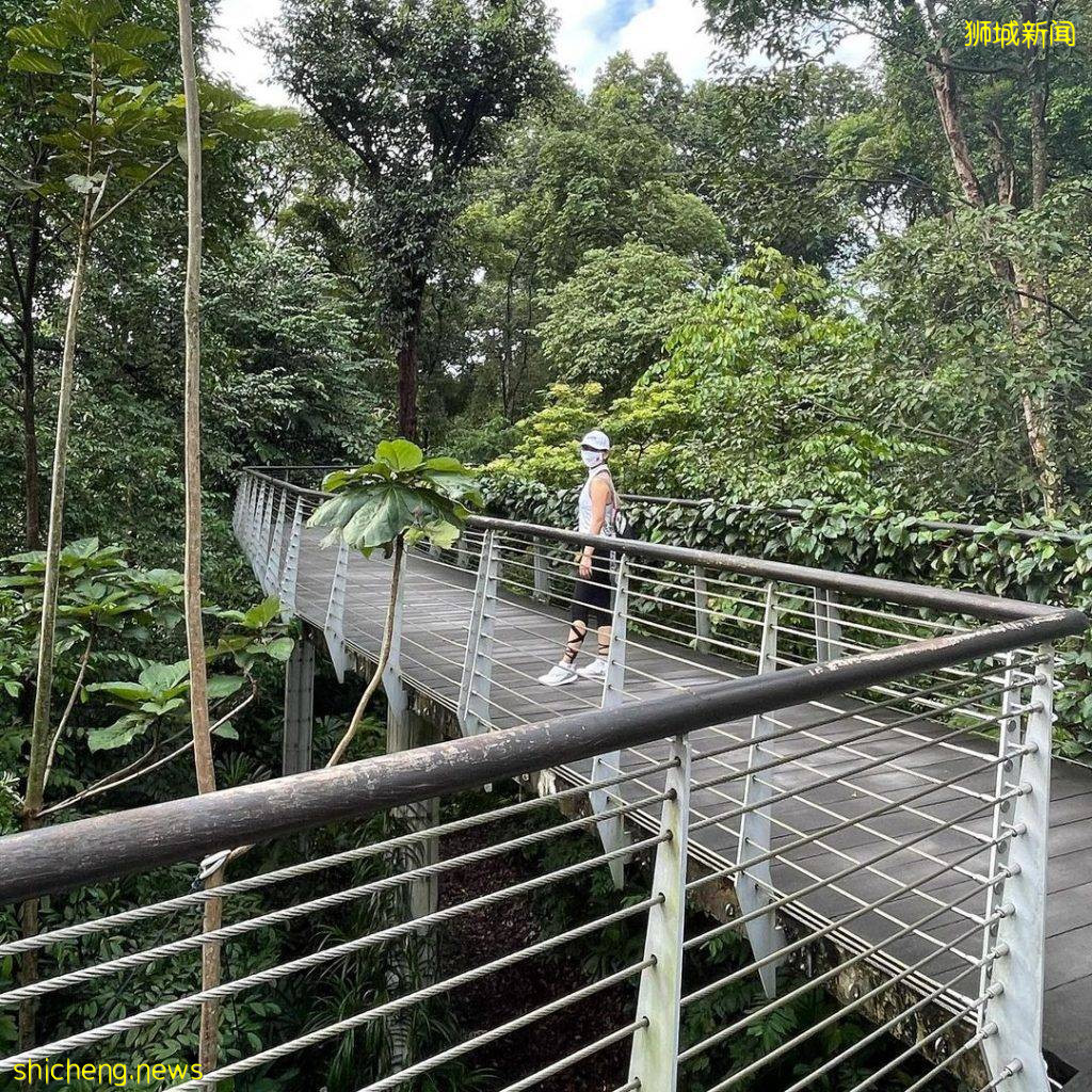 植物園Gallop Extension攻略🌳山脊小徑+戶外遊樂設施+森林探秘館+藝術畫廊、走進大自然