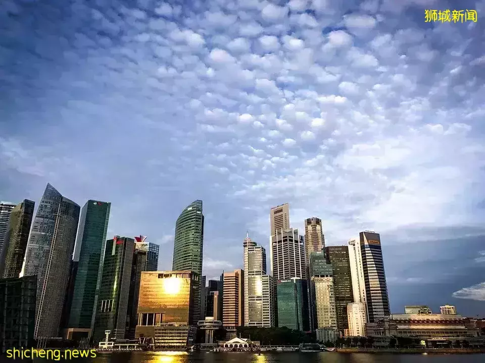 后疫情时代 留学为何首选新加坡