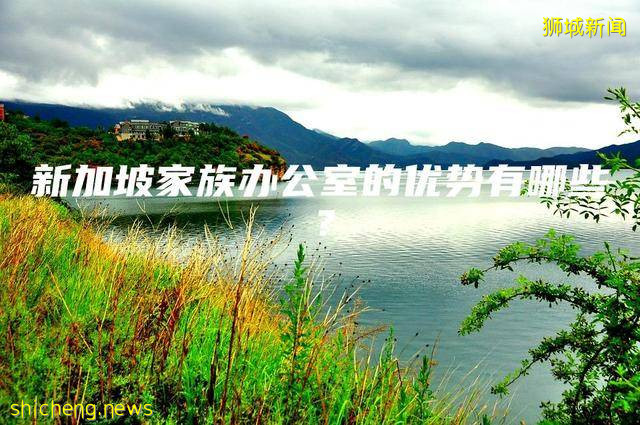 新加坡家族办公室的优势有哪些