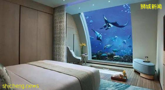 新加坡是什么味的?带你了解属于新加坡的气味