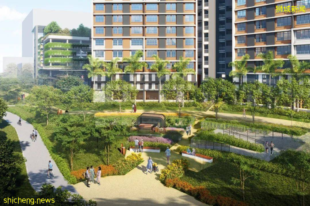 女皇镇将试点建设健康卫生区