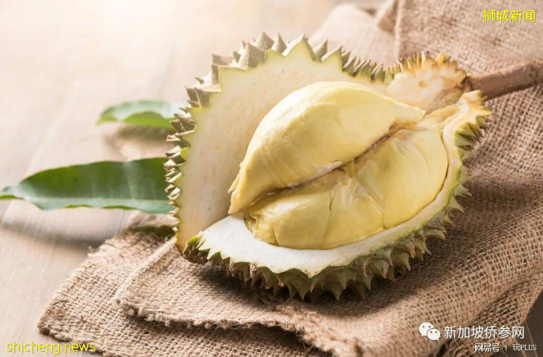 新加坡華語規範情與理，榴梿、榴梿，留哪