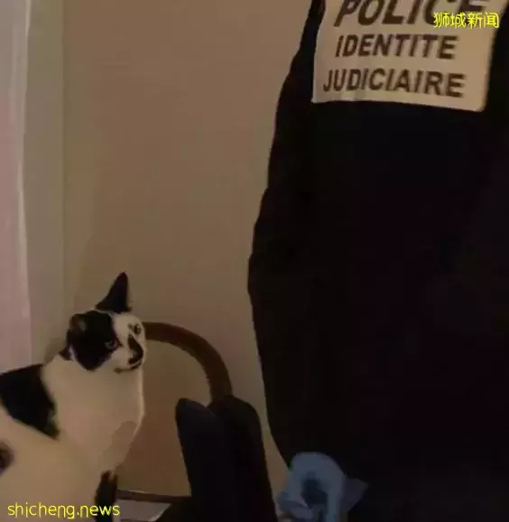 华人女星哭诉：我的家被歹徒洗劫一空！新加坡这么安全，他们还是走了