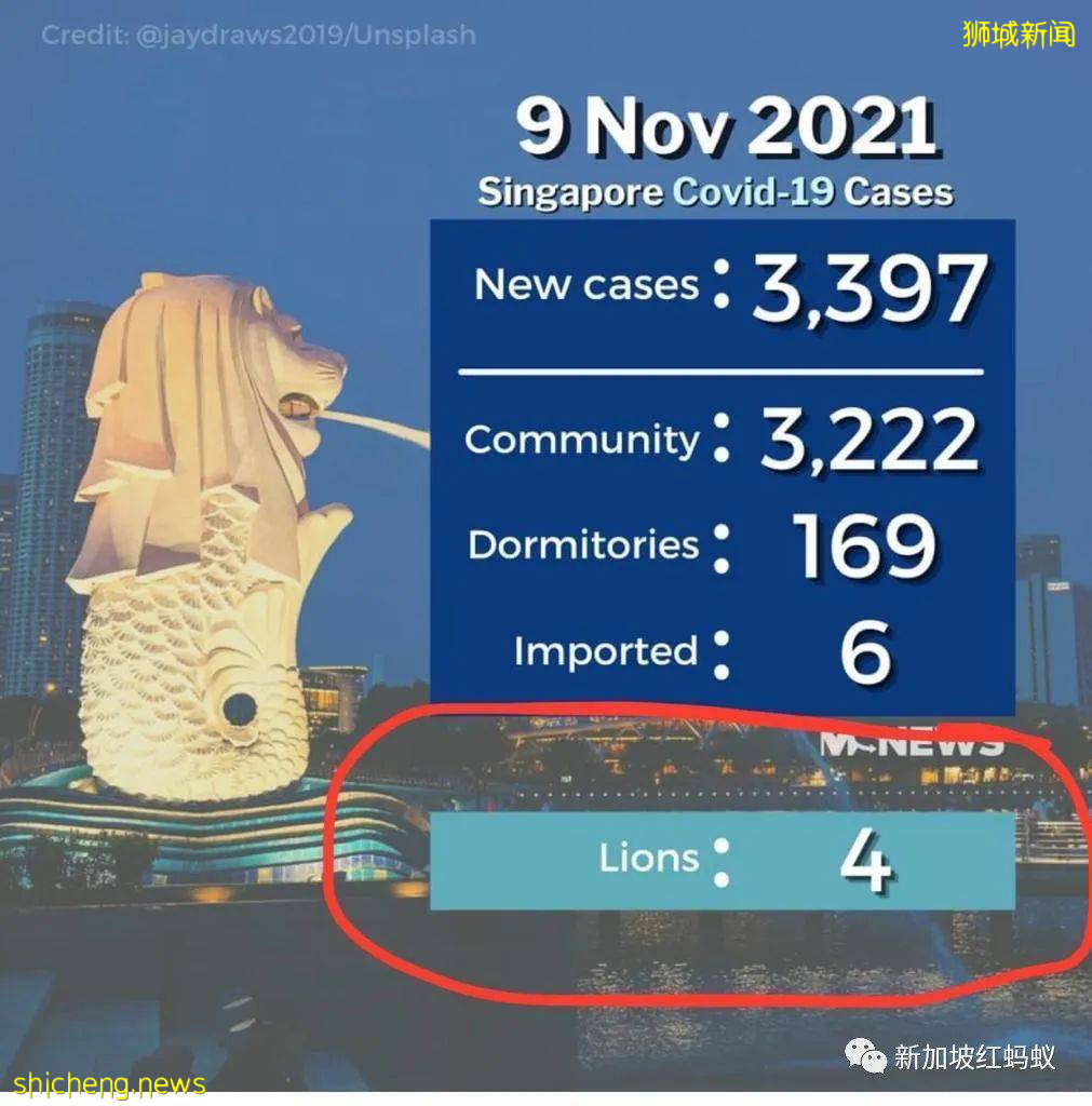 新加坡五頭獅子感染冠病“揚名海外”　各地爭相報道