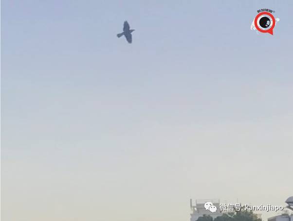 昨天小長假人山人海，武吉知馬老鐵路成新景點！前生今世大揭秘