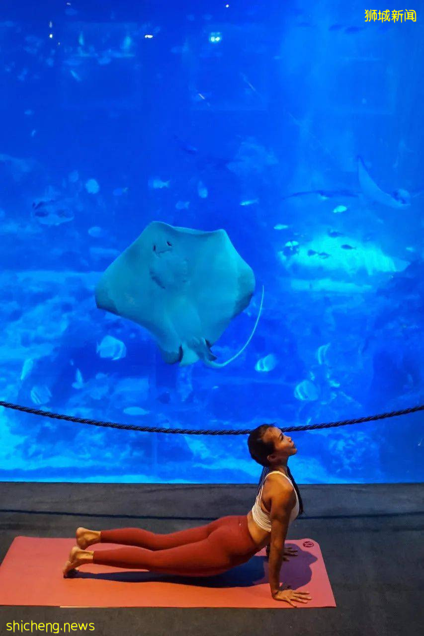 新加坡10個新活動！打卡冰淇淋博物館、總統府、到海底練瑜伽