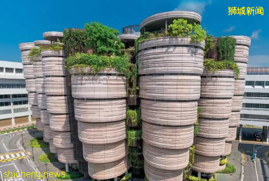 疫情防控渐缓，新加坡多所高校公布：将在未来两月内举办实体毕业典礼