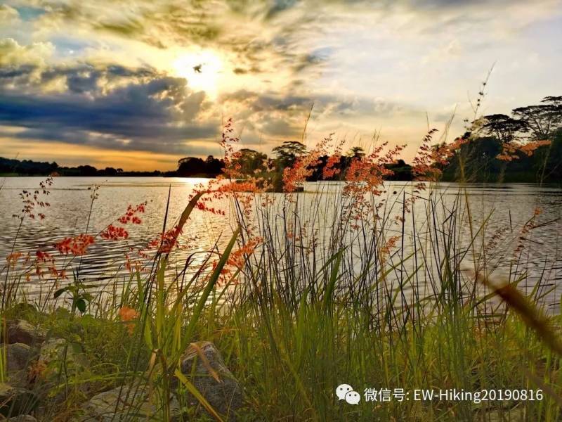 卡迪至山景(丛林探索之旅)