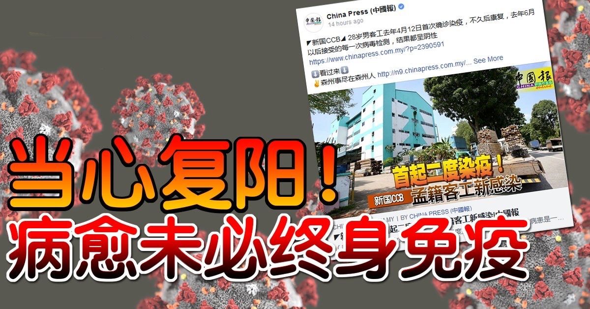 ◤新国CCB◢当心复阳！ 病愈未必终身免疫