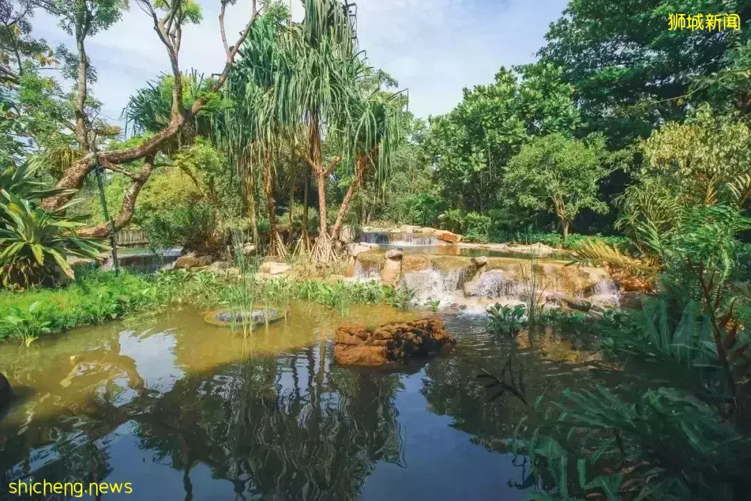 戶外徒步新去處！新加坡新開的7個公園你都遛過了沒
