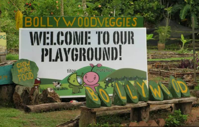 種水稻，摘蘑菇，新鮮蘆荟飲品！藏在新加坡的7大蔬菜農場我找到啦