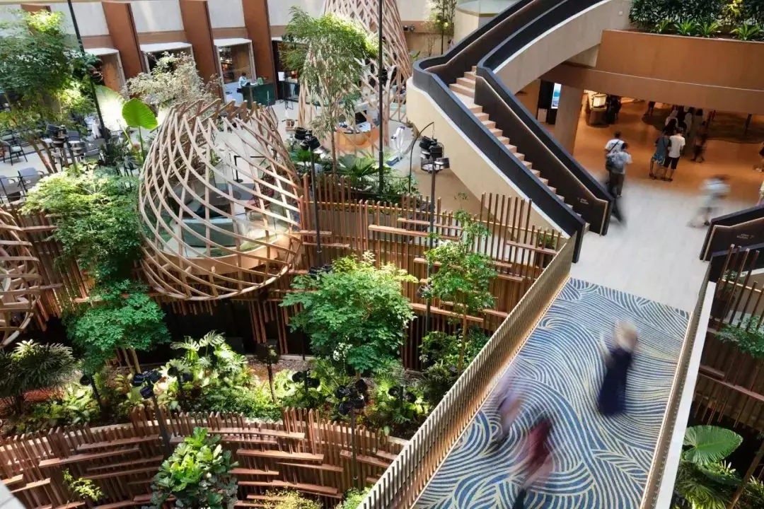 拥有2400多种植物,还有小鸟生活,新加坡这家酒店太美