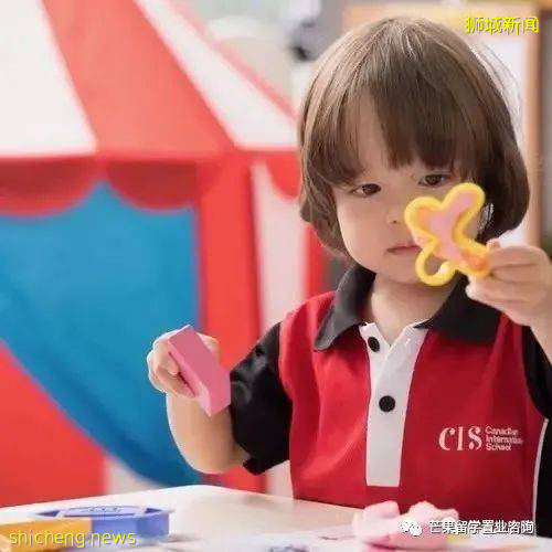 新加坡加拿大國際學校,承包了國際IB課程和王牌雙語項目