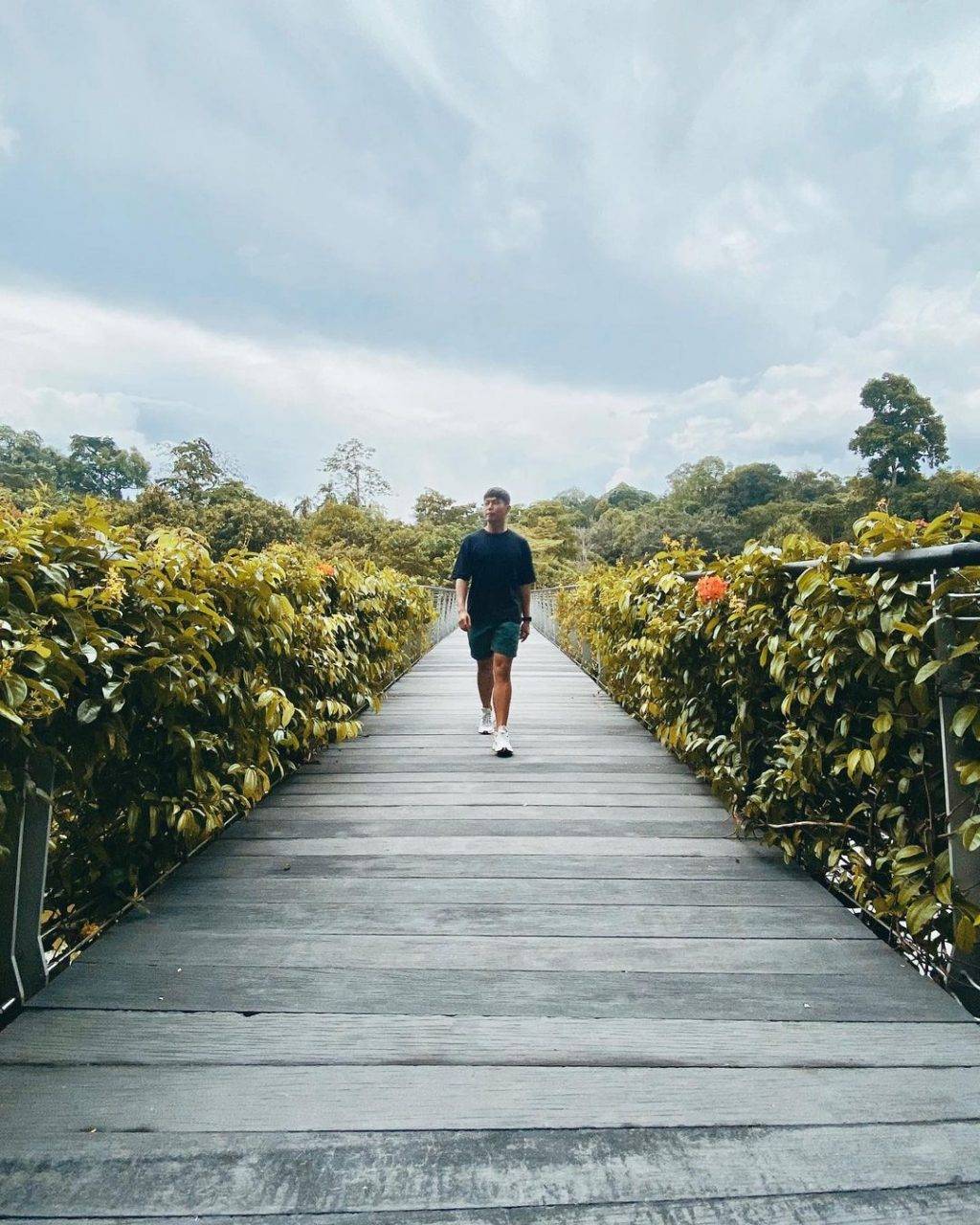 新加坡植物园探秘🤫 小众森林Learning Forest多处美景待解锁💫 沼泽木板步道、悬空吊网巨好玩