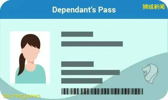 新加坡重开工作准证入境申请！附2021最新版工作证件大全