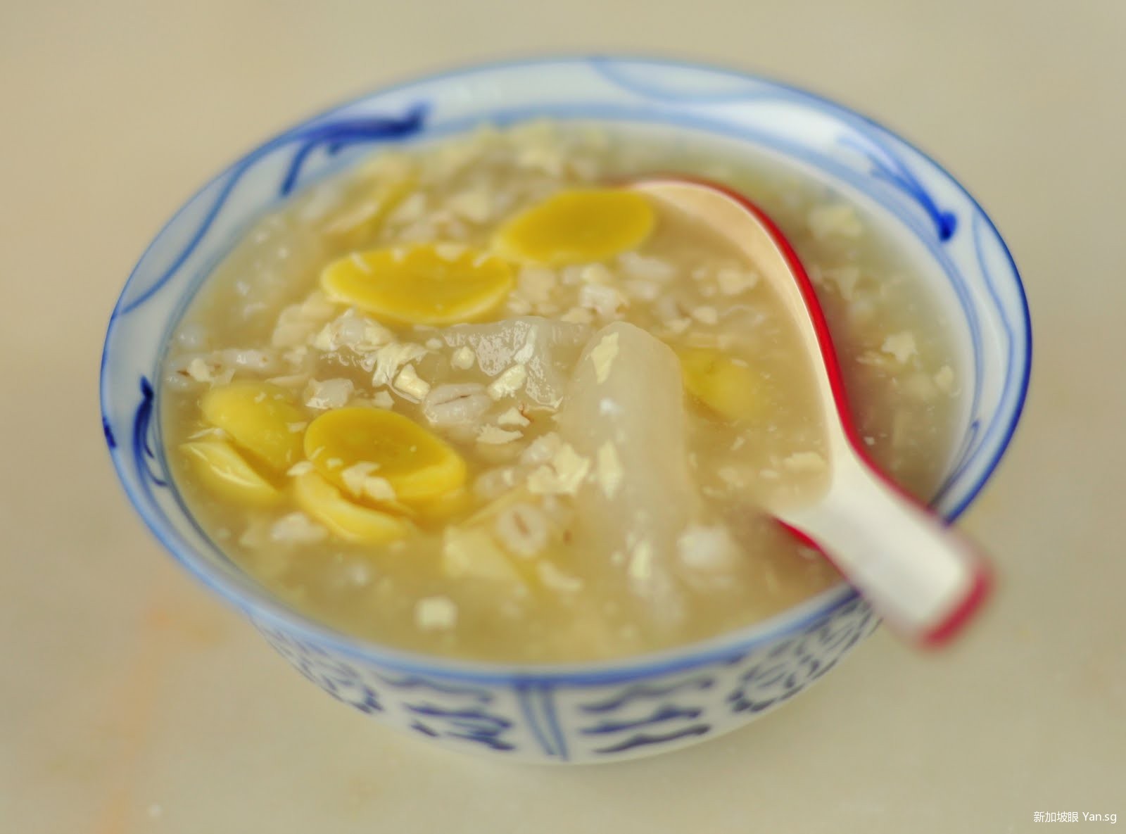 Barley, Dried Beancurd & Gingko Nuts Sweet Soup Dessert 白果腐竹薏米糖水