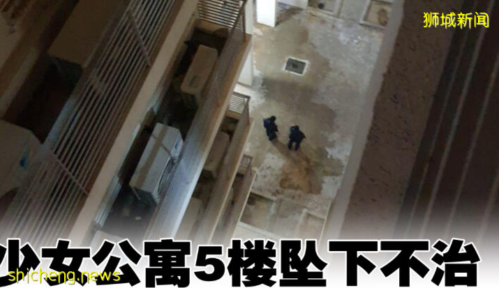 少女公寓5楼坠下不治