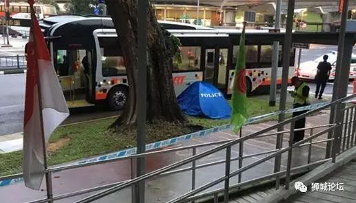 新加坡地铁不给力，今天还有巴士撞死人…太吓人！这些盲区或许你得懂
