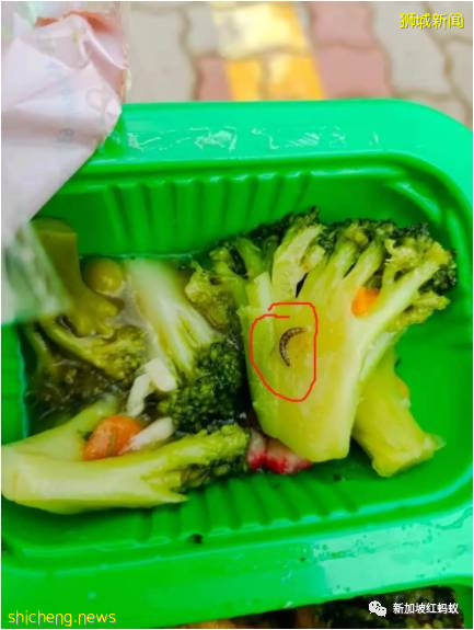 2000多名中國籍客工居住的宿舍出現防疫疏漏　人力部承認延誤轉移病患，一天內徹底改進