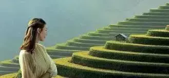 让“碳中和”城市化？亚洲最绿色城市是这么做的