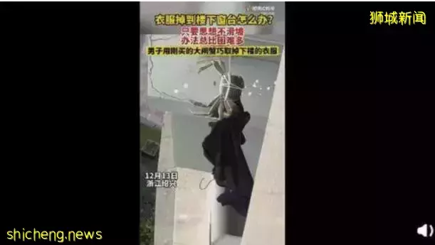 在新加坡养只大闸蟹当宠物，能帮你捡内内